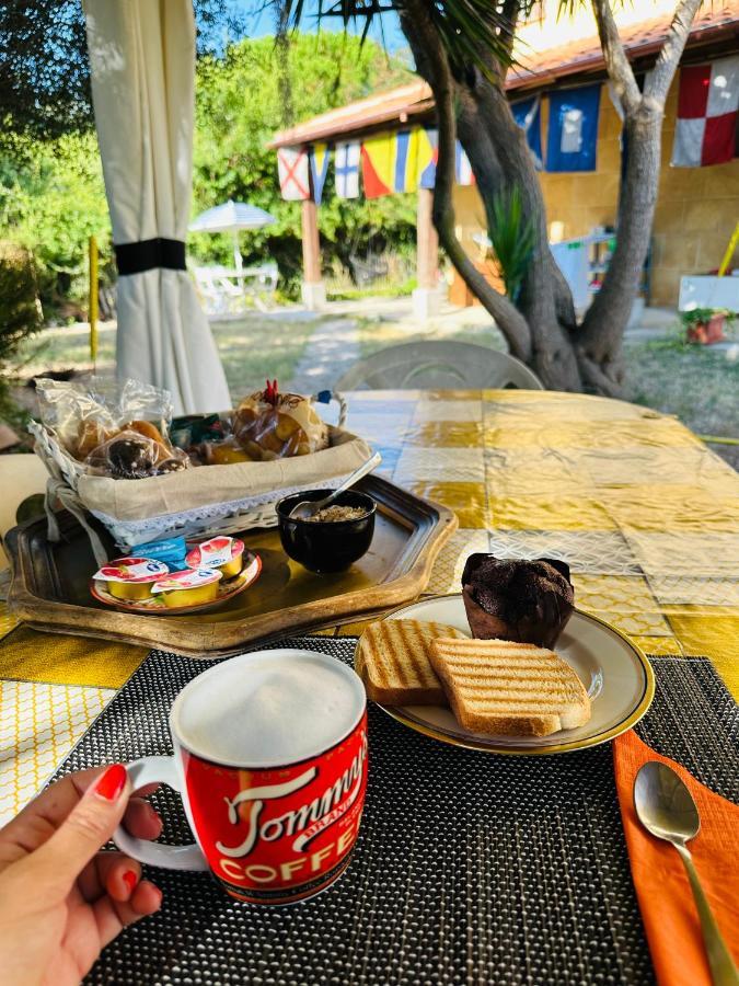 El Matorral Bed and Breakfast Αλγκέρο Εξωτερικό φωτογραφία