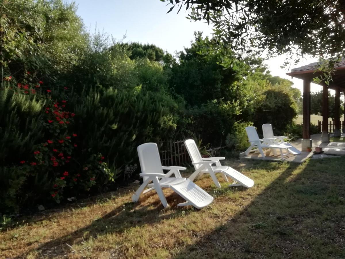 El Matorral Bed and Breakfast Αλγκέρο Εξωτερικό φωτογραφία