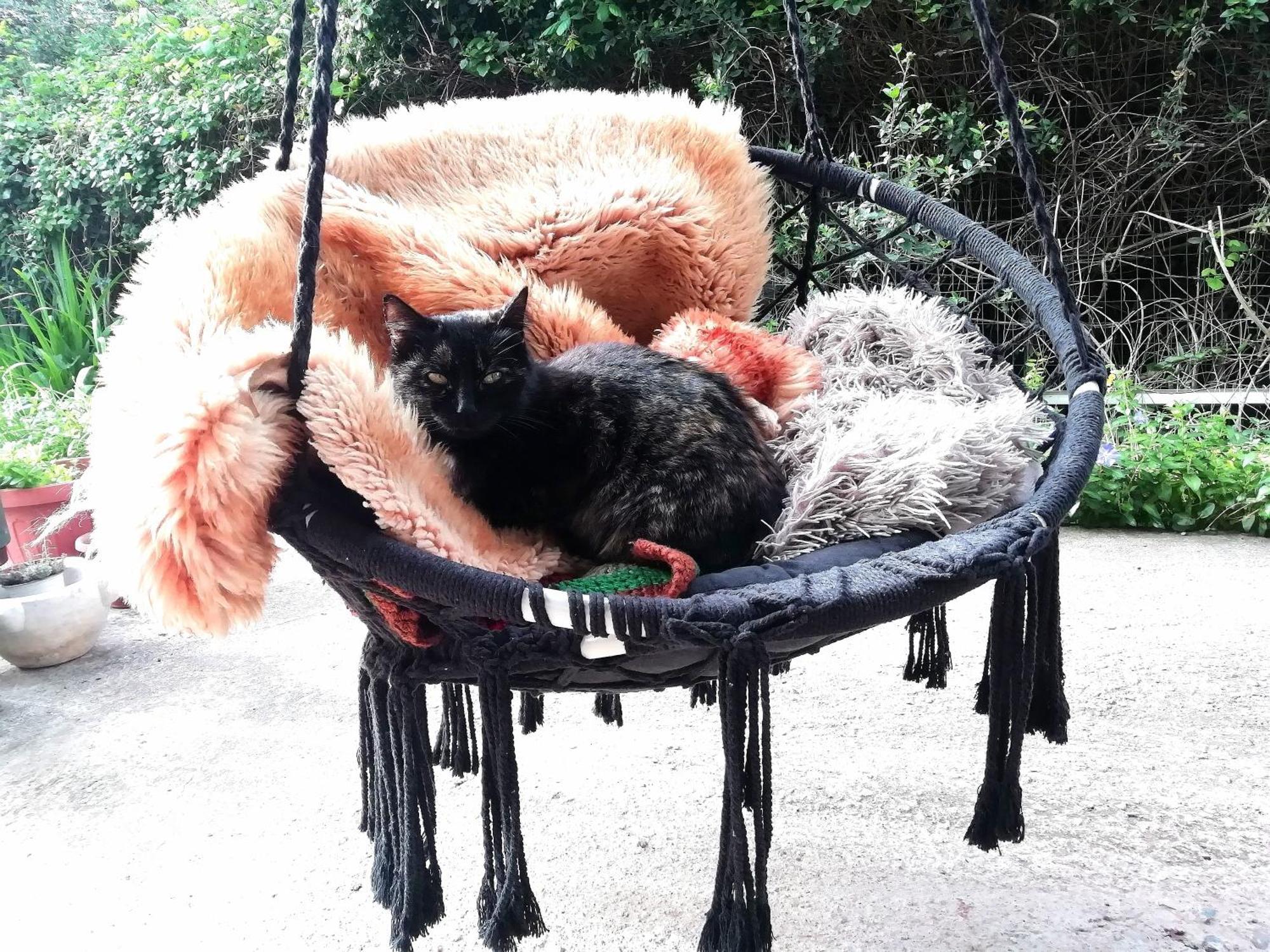 El Matorral Bed and Breakfast Αλγκέρο Εξωτερικό φωτογραφία