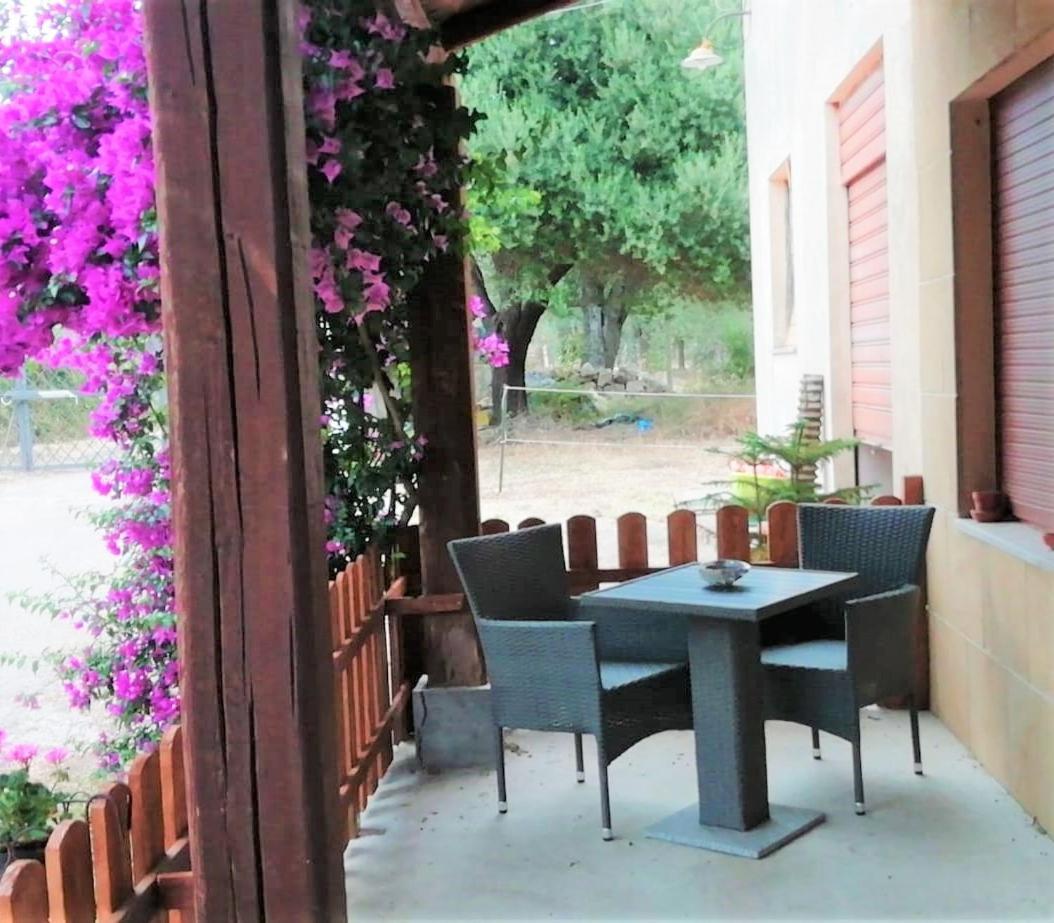El Matorral Bed and Breakfast Αλγκέρο Εξωτερικό φωτογραφία